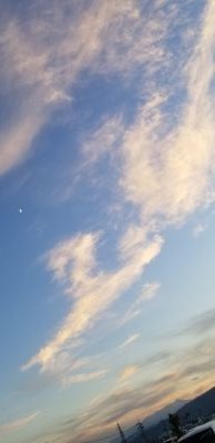 you40001778's profile picture. 