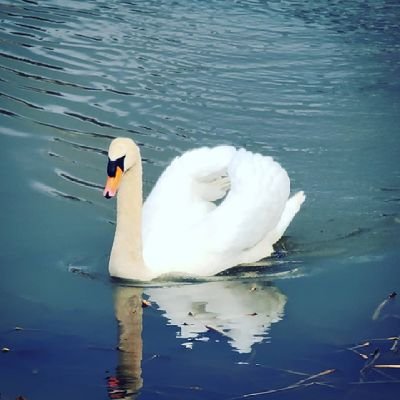 jayvataliya1's profile picture. 