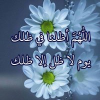 محمد الحائط حساب بديل 𝗠𝗼𝗵𝗮𝗺𝗺𝗲𝗱 (@mohz_y99) 's Twitter Profile