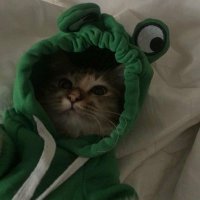 :;D (@qxsvn_) 's Twitter Profile Photo