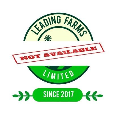 aoleadingfarmng's profile picture. Animal Farm (Poultry and Rabbit) ! Animal Nutrition Expert !! General Farm Consultant !!! Contact us: https://t.co/UysiK68ImP