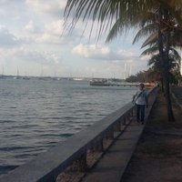 Julio César Mier (@juliocsarmier2) 's Twitter Profile