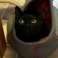 serpil (@serpil83093674) 's Twitter Profile Photo