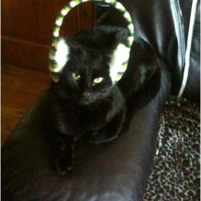 retired nurse after many years, lives with niece and cat.