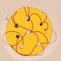 Centre for Practice Theory @ Lancaster (@pt_lancaster) 's Twitter Profile Photo Centre for Practice Theory @ Lancaster (@pt_lancaster) 's Twitter Profile Photo