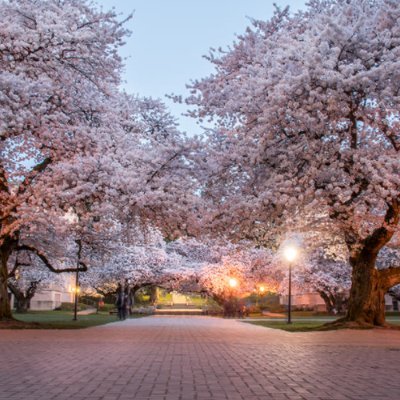 The official Twitter home of the University of Washington Division of Gastroenterology | UW Medicine