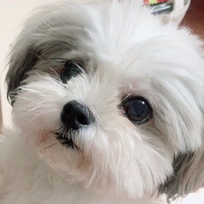oneE_nara's profile picture. 개발계 / 일상계 / 경제,언론 전공/ 더 개인적인 이야기는 @just_LOOKE 에서 합니다