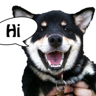 We're a social meetup group for Shiba Inu dogs in Hawaii--'cause they definitely NEED IT! (also proud inventor of the #Twiba hashtag, BOL!)