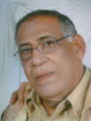 zedana57's profile picture. #zkApes