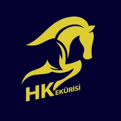 hkekurisi Profile Picture