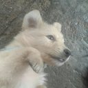 Alan Verdun - @Alan__Verdun - Twitter