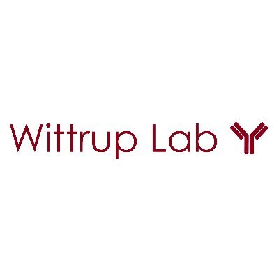 The Wittrup lab at the @kochinstitute @MIT. Protein engineering for cancer immunotherapy. Run by lab members @MITChemE @MITdeptofBE