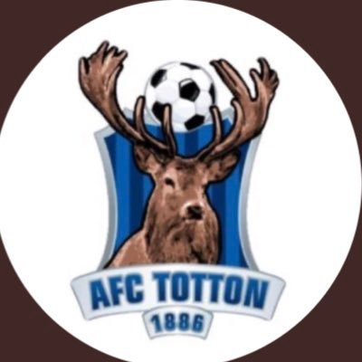 Bringing you information on the AFC Totton Youth section. #YoungStags