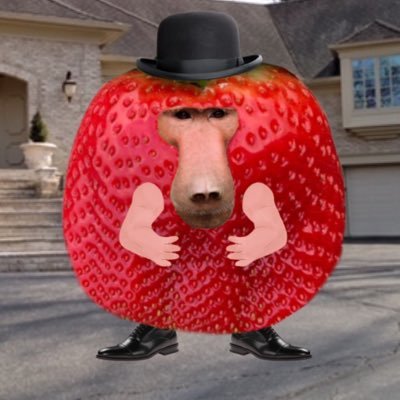 BaboonBerry's profile picture. stawbnerry | Banner by gollum