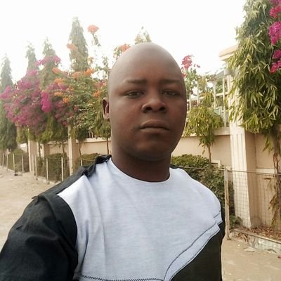 SalisuM19367918's profile picture. 