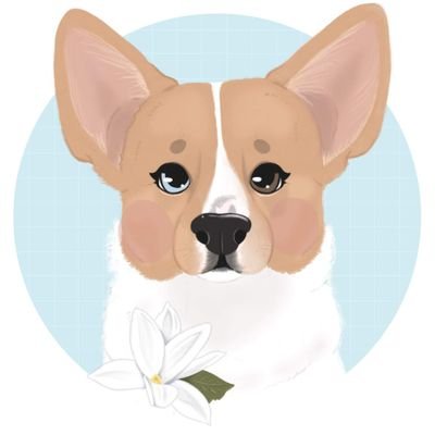 Hi I'm a corgi/aussie mutt with big ears and a bigger personality 💙 4/13/2018 🎂 icon by @puggloaf
Official Name™️: Odd Eye of the Storm DCAT CGC TKN
