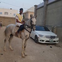 abdulmajid bashir (@abdull___majeed) 's Twitter Profile