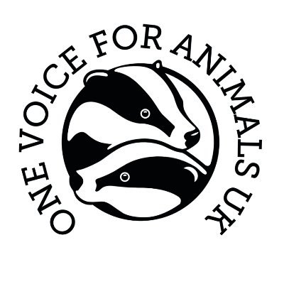 We provide advocacy & fundraising support to environmental & animal welfare establishments.

https://t.co/jIP134B9EW