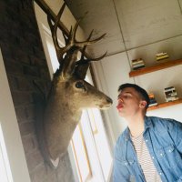 N (@nickmykytiuk) 's Twitter Profile