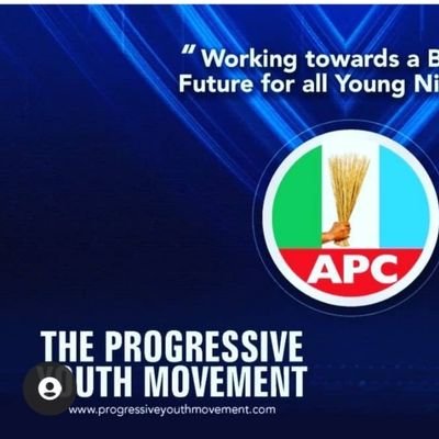 Building a great Nigeria for all young Nigerians.