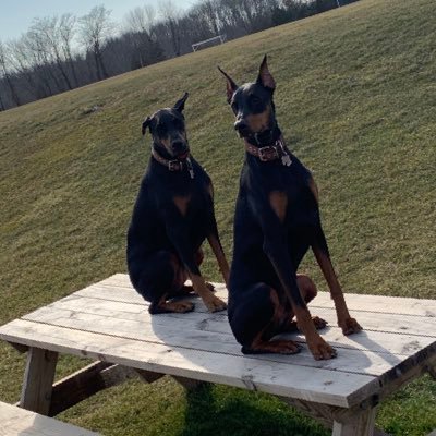 realist_91's profile picture. 🌚