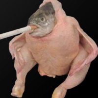 Chicken.__.Fish (@hellotokyo8) 's Twitter Profile