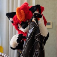 猇犽 (@xiaoyaer) 's Twitter Profile