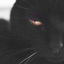 Melissa Pinney Hays - @DieselPullinGrl - Twitter