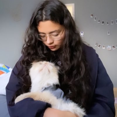 AndreaArgoti5's profile picture. ✨Aunque duela ser sincero Si tu amor es ciego, te vas a estrellar✨