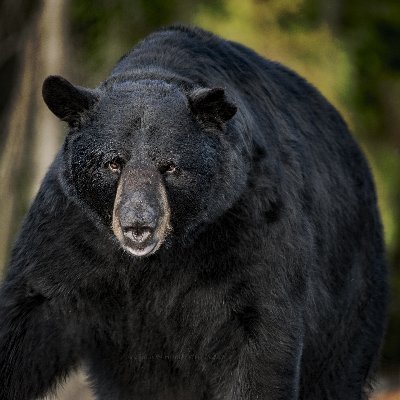 Jon61267227 Profile Picture