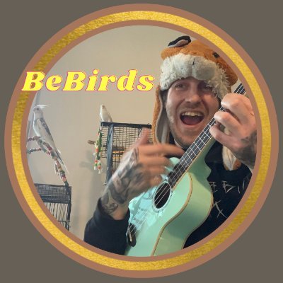 We be birds! 
 Berry (Parakeet) - Lead Vocals
 Dusty (Cockatiel) -Backup Vocals
 Fox (Human) plays all the music!  

We sing for tips to get toys and treats!