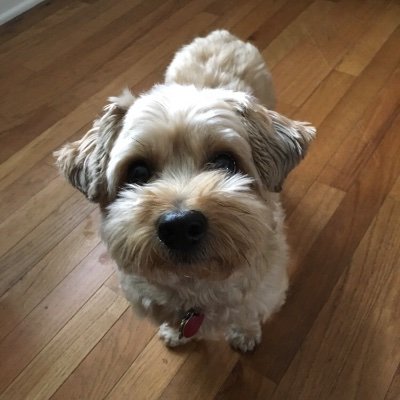 RightOrRon's profile picture. “Let the excellence of your work be your protest” - Dr. William Lane