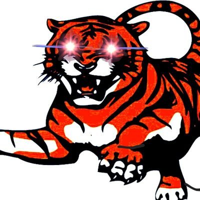 GoTigers623 Profile Picture