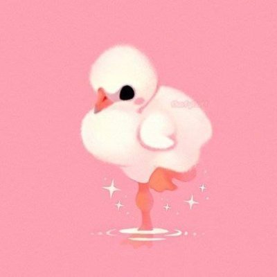 bohemian flamingoさんのプロフィール画像