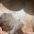 J24710442's profile image