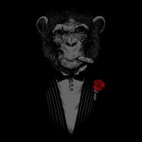 mungoape (@mungoape) 's Twitter Profile
