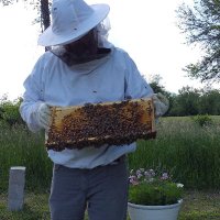 Luke T (@luketomsha) 's Twitter Profile