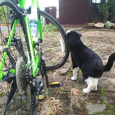 KUROaround50's profile picture. 静岡在住。子供３人妻１人。

安物ロードで安全運転を心がけるのんびりサイクリスト。
坂道は迂回する、いわゆるエンジョイ勢。

自転車乗らないと本読んでるか料理してるインドア系。

#静岡　#サイクリング　#ロードバイク　#お父さんのつぶやき　#お料理男子　#読書　#ミステリ