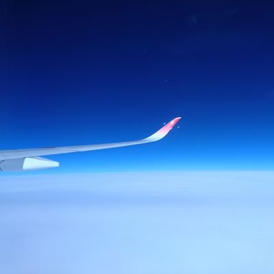 montaro20002022's profile picture. 