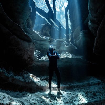 | Underwater Photo & Videographer https://t.co/ZTqrHnKDr2 |
| https://t.co/yxw0XXvFU9  Decentralized Social Media |
| JS Dev |