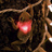 Sirupo's profile image