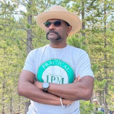 calstrawberries's profile picture. The lean, mean, brown entomologist