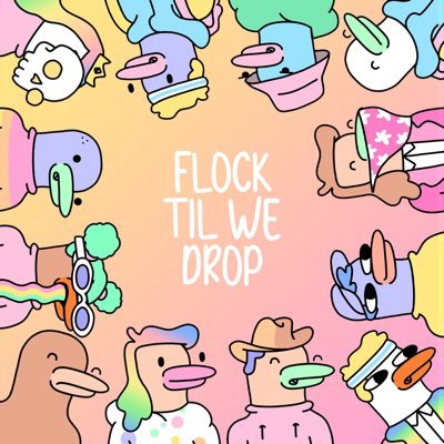 Collection of 10,000 Doockles, an Indifferent Ducks and Doodles tribute (Not affiliated with either project) Twitter account of the Doockle Flock!
