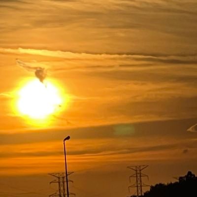 myvetbiz's profile picture. Disabled USArmy #Veteran SC #MDD, Encompassed by PTSD, 100% P & T. (Lincoln): To care for him who shall have Borne The Battle and for his widow, and his orphan