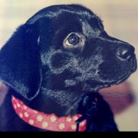 ฅU´ᴥ`Uฅ💕神推し🤗 (@vichan3933) 's Twitter Profile Photo