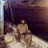 cemkalem55's profile image