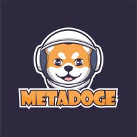 METADOGE (@metadoge__) 's Twitter Profile
