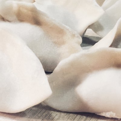 fingertribe's profile picture. 80后，挺过五年