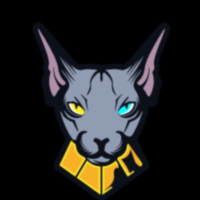 SphynxNetwork Profile Picture