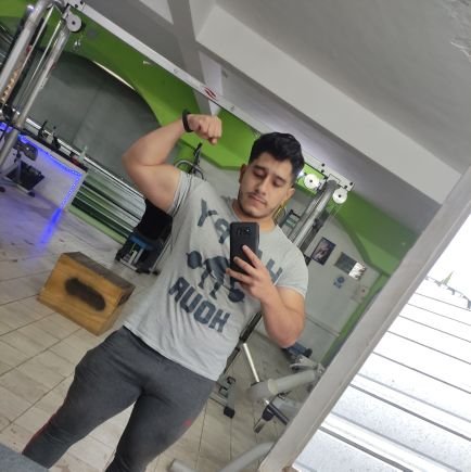 Diego_Zaheer's profile picture. Web developer